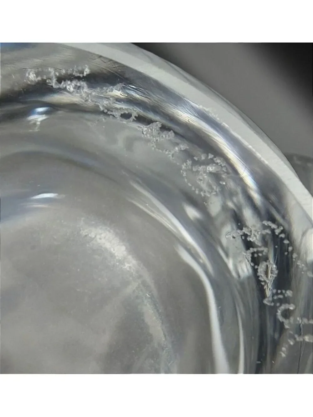 Vintage Large Lalique Martinets Large Frosted Crystal Swallows Vase France - 10